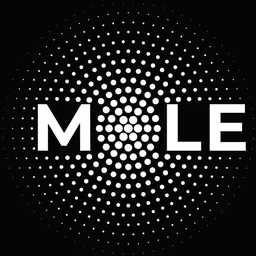 Mole Performance logosu